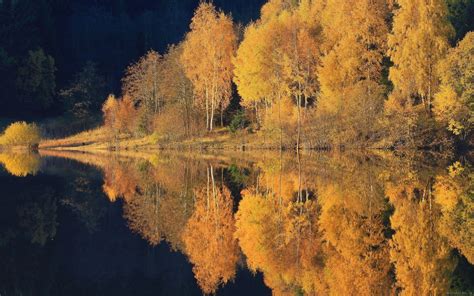 2500x1563 Nature Landscape Lake Forest Fall Water Reflection Trees