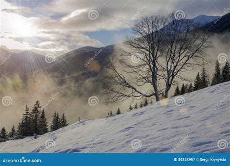 Beautiful Winter Landscape With Rising Sun Stock Image Image Of