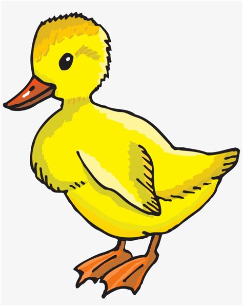 Drawn Duckling Yellow Duck Baby Ducks Clip Art 492x595 Png Download