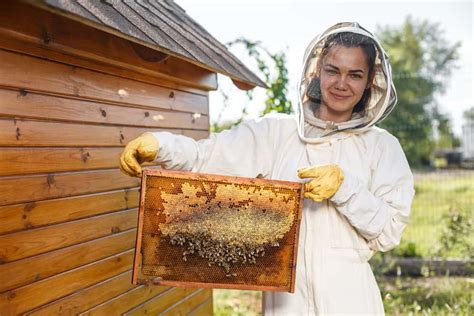 How To Become A Beekeeper What Beginners Need To Know Rural Living