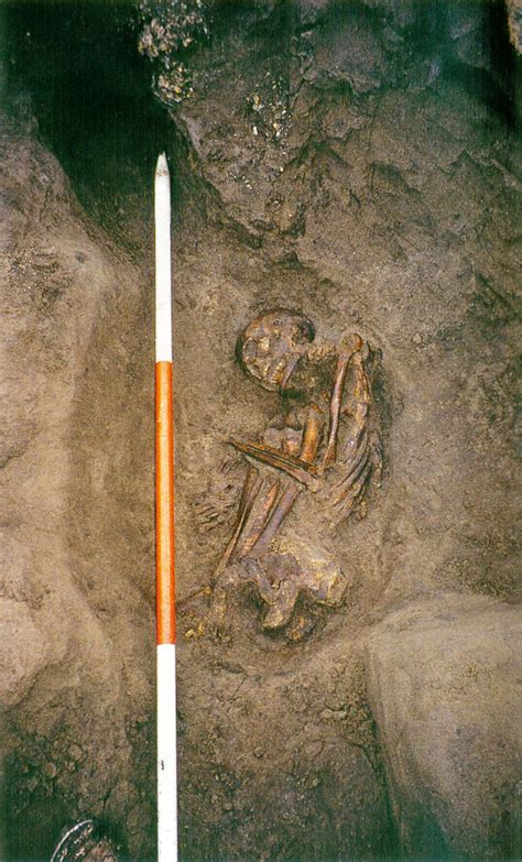 Scottish Bog Mummies Are Frankenstein Composites The History Blog