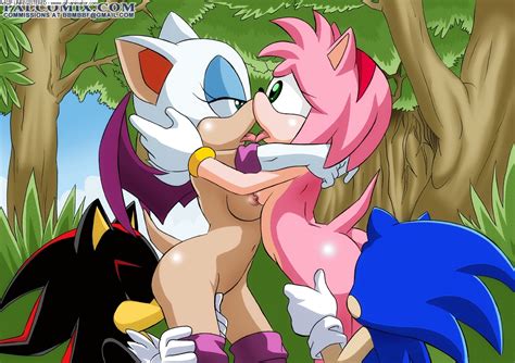 Amy Rose Palcomix Rouge The Bat Shadow The Hedgehog Sonic Team 33480