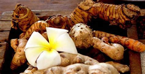 Manfaat Dan Khasiat Jahe Secara Herbal Tips Seputar Kesehatan