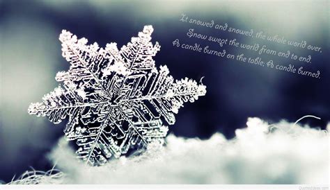 Amazing Cold Winter And Snow Winter Quotes 2015 2016
