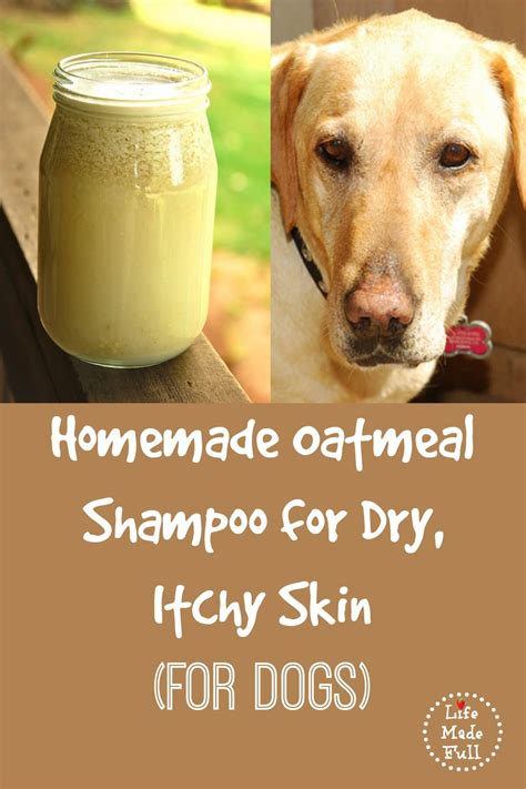 Allergies, dry skin, yeast infections, and environmental irritants can also cause your dog to feel itchy. The Best Homemade Shampoo for Dogs