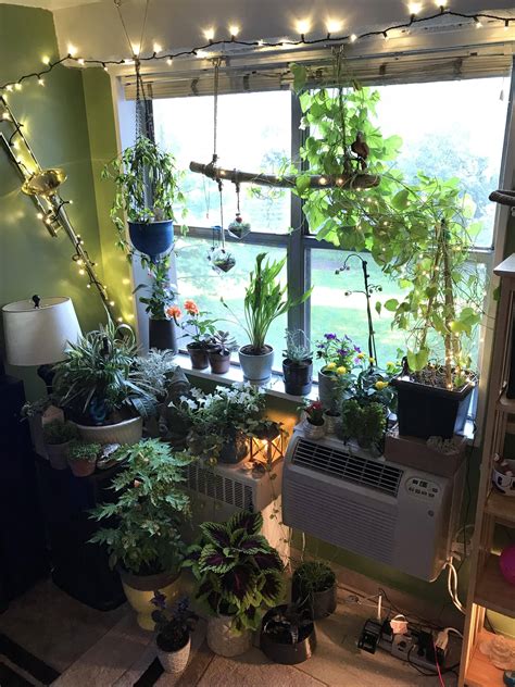 17 Small Apartment Indoor Gardening Ideas To Consider Sharonsable