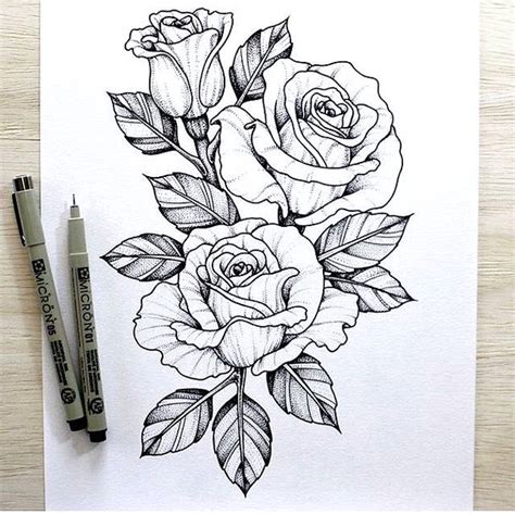 25 Contoh Gambar Sketsa Bunga Mawar Terbaik Postsid