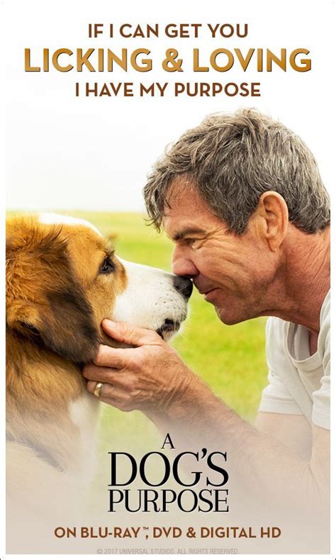 Realize that if a door closed, it's because what was behind it wasn't meant for you. ― mandy hale, the single woman: A Dog's Purpose is full of genuine heart, humor and a real message of love (The Plain Dealer ...
