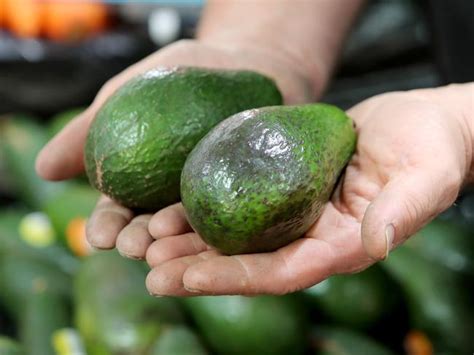 An Avocado That Looks Like A Vagina Found In Coles Casuarina Nt News