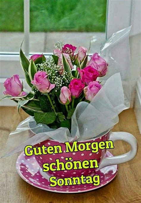 Lustige sonntagsgrüße bilder kostenlos für whatsapp. Spruch sonntag lustig | sonntagsgrüsse | Sprüche sonntag ...