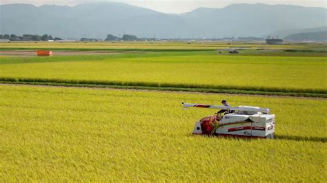Shonai Rice Farmer Japan From Above Up Close Co Production Between
