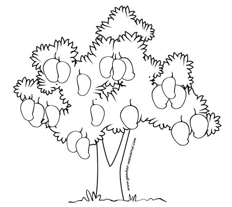 Kumpulan Sketsa Pohon Mangga Terlengkap Blog Pengajar Tekno