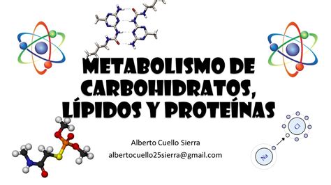 Bioquímica Generalidades Del Metabolismo De Carbohidratos Lípidos Y