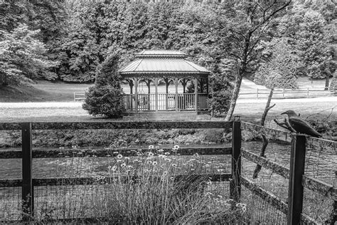 Gazebo On The Mountain Stream Black And White Photograph By Debra And