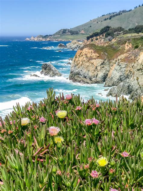 10 Things to do in Monterey County with Kids | Weekend family getaways