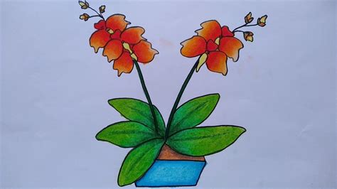 Download 34 Mewarnai Bunga Anggrek Gambar Sketsa Bunga