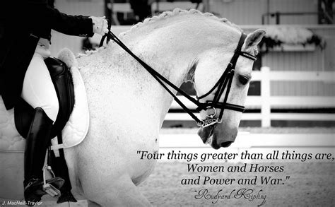 It's just that there's something about the dressage, being put through. dressage horse - Kipling quote | Horse quotes, Beautiful ...