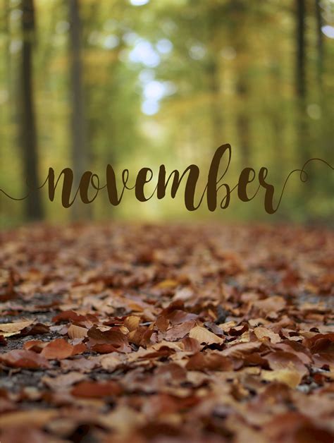 November Background Iphone Kolpaper Awesome Free Hd Wallpapers