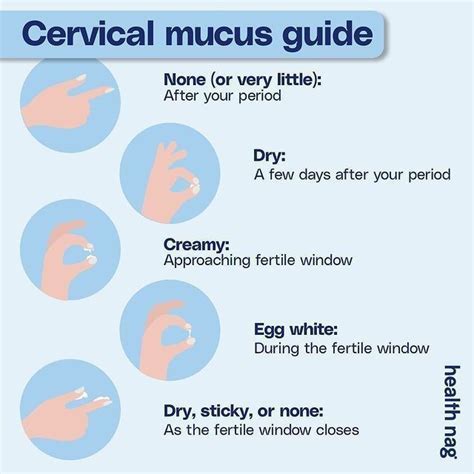 Nag For Women ☝🏼 Cervical Mucus Mucus Fertility Awareness