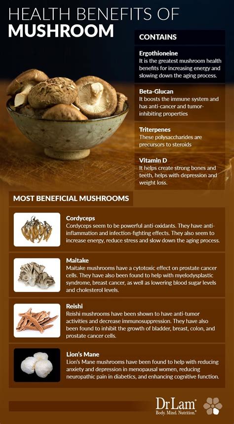 Health Benefits Of Mushrooms Kordinamis