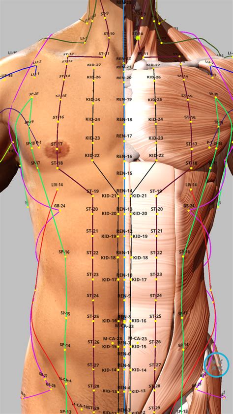 acupoint 4 acupuncture points chart acupressure points acupressure