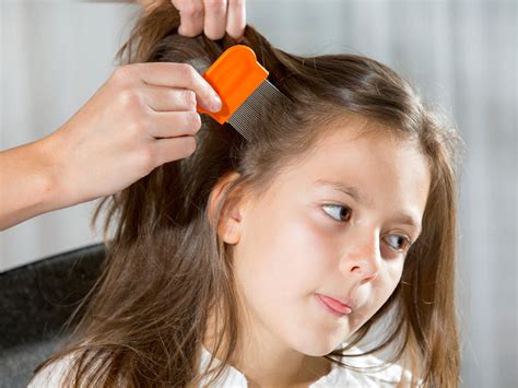 How To Treat Your Child For Lice Video Babycenter
