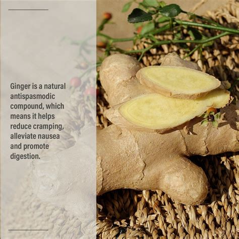 Ginger Is A Natural Antispasmodic Compound Which Means It Helps Reduce Cramping Healthy Gift