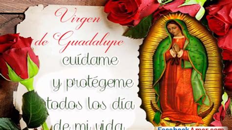 Oracion Miagrosa A La Virgn De Guadalupe Imágenes De La Virgen