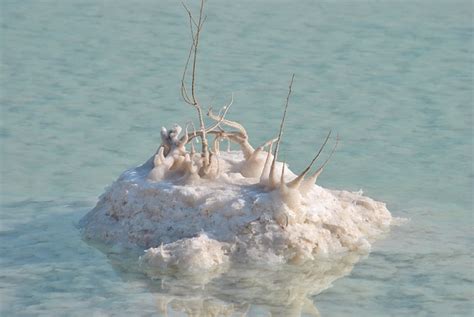 Premium Photo Dead Sea Minerals And Salt Israel