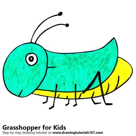 Learn How To Draw A Grasshopper For Kids Animals For Kids Step By