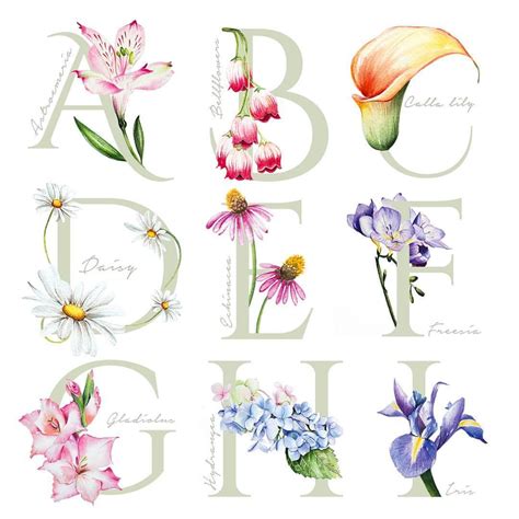 See This Instagram Photo By Enya Todd Likes Watercolor Lettering Flower Alphabet