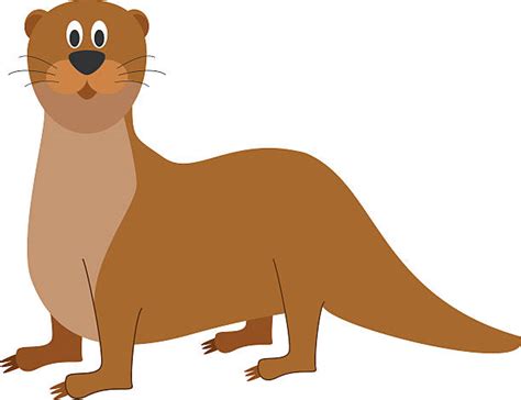 Royalty Free Otter Clip Art Vector Images And Illustrations Istock