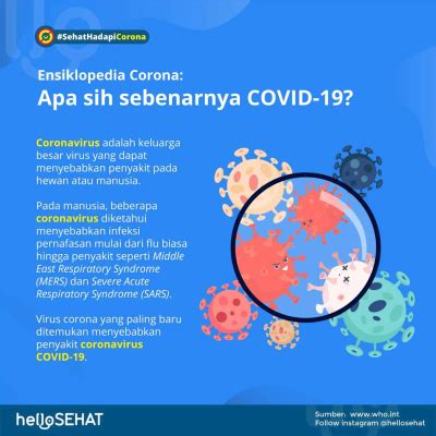 COVID 19 Gejala Penyebab Dan Pengobatannya Hello Sehat