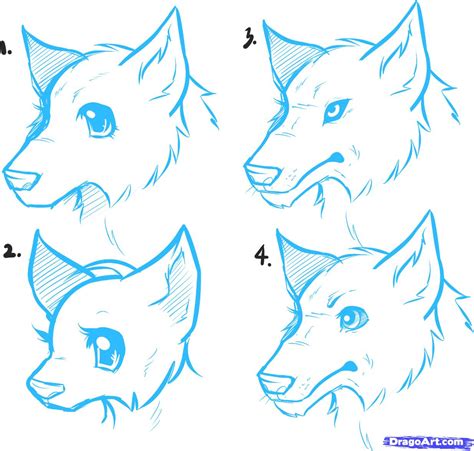 Easy To Draw Anime Wolfs Wolf Running Sketch Animal Drawings Wolf