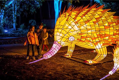 Stunning Vivid Sydney Returns With Wild Lights At Taronga Zoo North