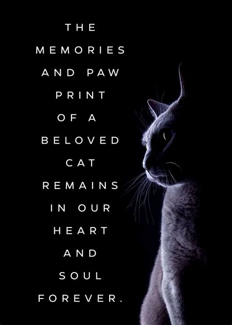 Quote About Death Of Cat Poster By Team Awesome Displate