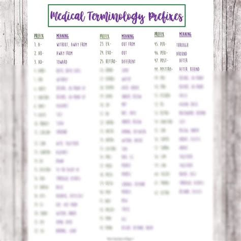Medical Terminology Prefixes Nursing School Medical Etsy Uk