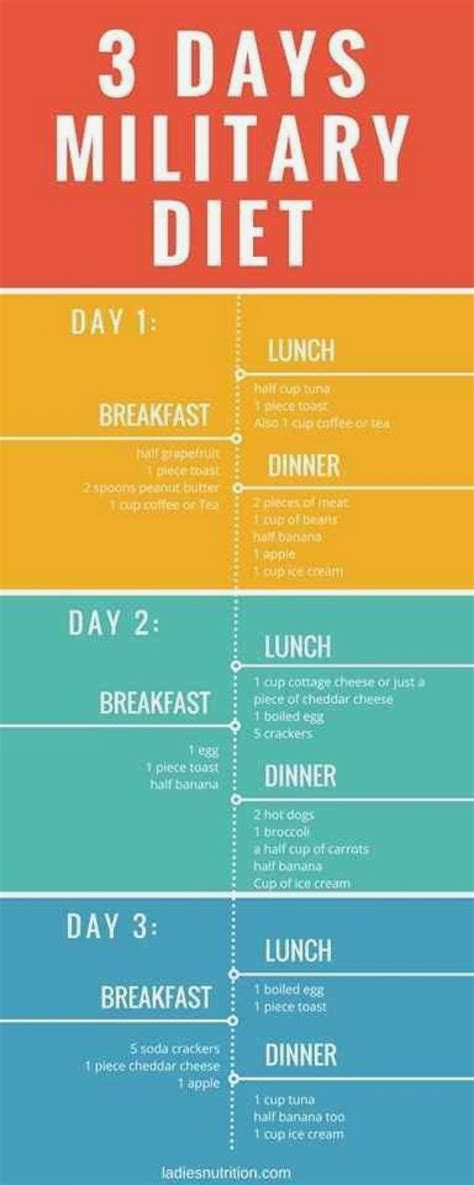 Die 3 t 3 day military diet plan 10 pounds 3 day military ...