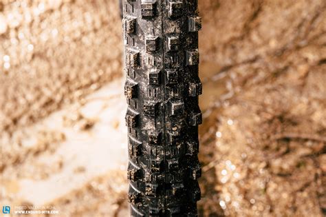 Maxxis Mountain Bike Tires In Review Enduro Mountainbike Magazine