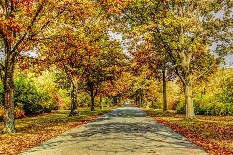 Tree Lined Path In Ringwood New Jersey Photograph By Geraldine Scull