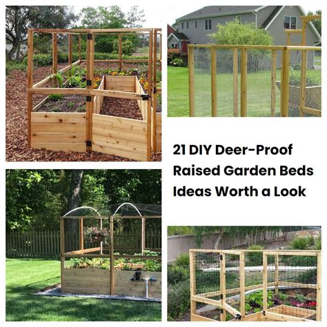 21 DIY Deer Proof Raised Garden Beds Ideas Worth A Look SharonSable