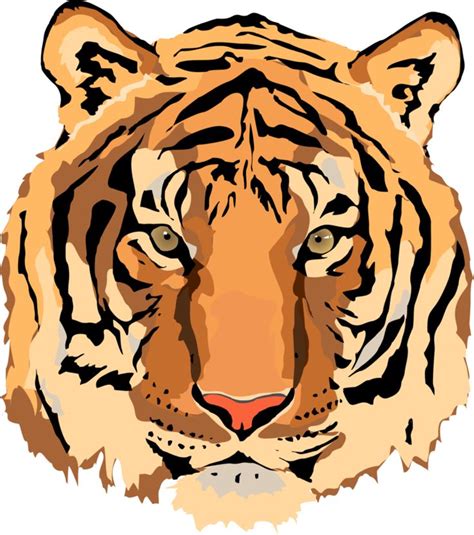 Tiger Scratch Vector Clipart Free Download On Clipartmag