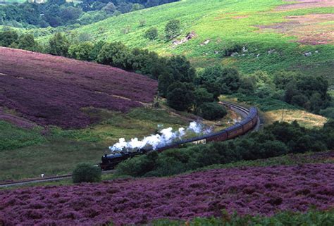 Top 10 Iconic Train Journeys In Association With Treyn Mirror Online