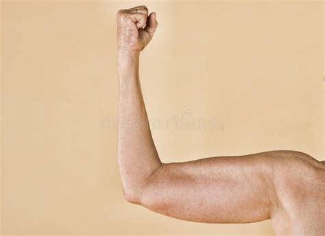 426 Strong Beautiful Woman Flexing Her Muscles Stock Photos Free