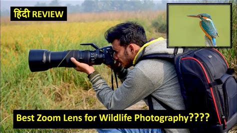 Nikon 200 500mm F56e Ed Vr हिंदी Review Best Lens For
