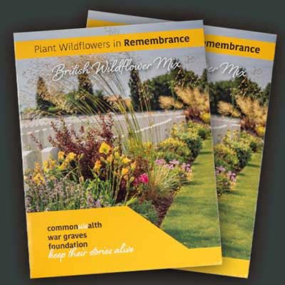 Continue to free wildflower seeds. Free Wildflower Seeds - Freebies Lovers