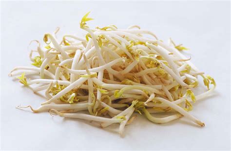 Bean sprouts are an easy way to add a lot of nutrients to your food and have been linked to numerous health benefits. Health benefits of Bean sprouts | HB times