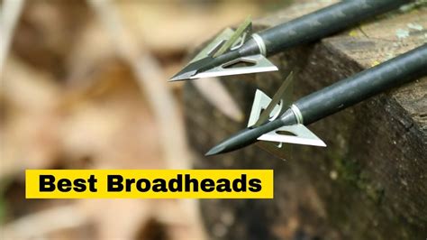 Best Broadheads For Hunting 2019 Fixed Blade Mechanical Or Hybrid