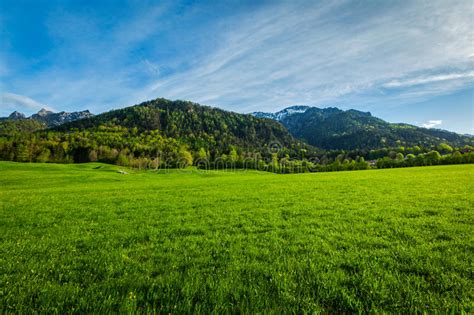Alpine Meadow In Bavaria Germany Stock Image Image Of Serene