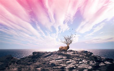 Digital Art With Deer Tree Bran Antler 3840x2160 Hd Desktop